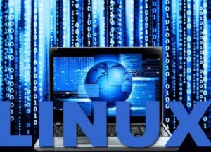 buy-linux-vpn-300x217